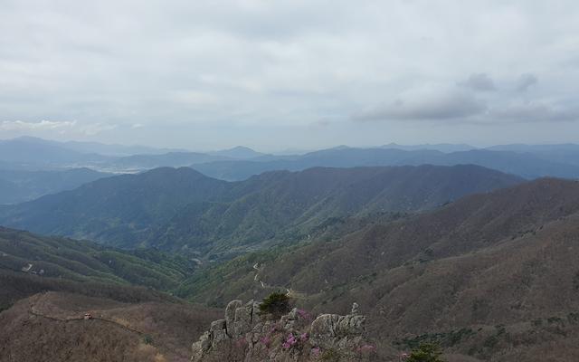 리뷰 대표 이미지
