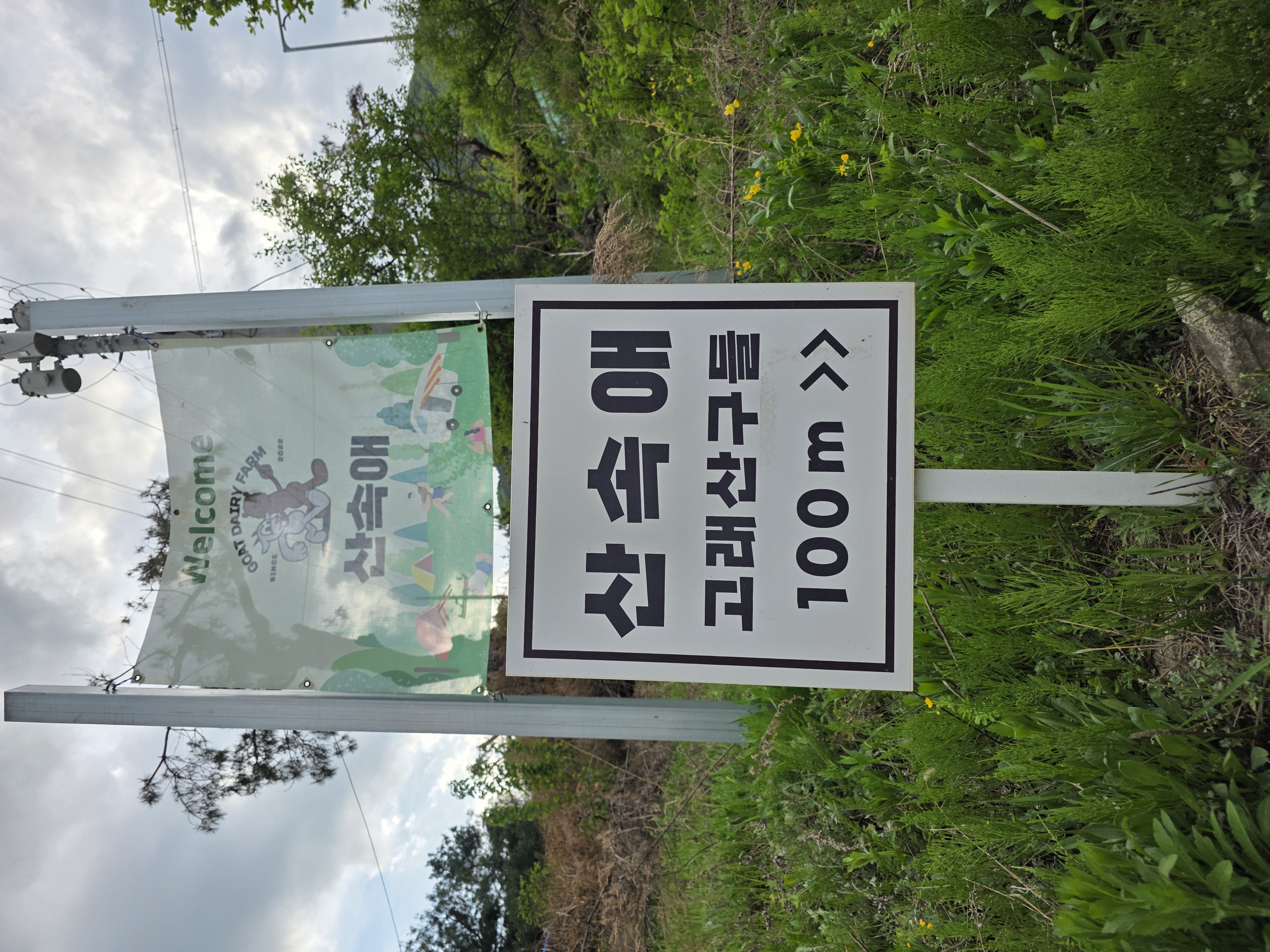 https://yaimg.yanolja.com/v5/2026/04/30/01/69f2b354ba0e20.56591227.jpg