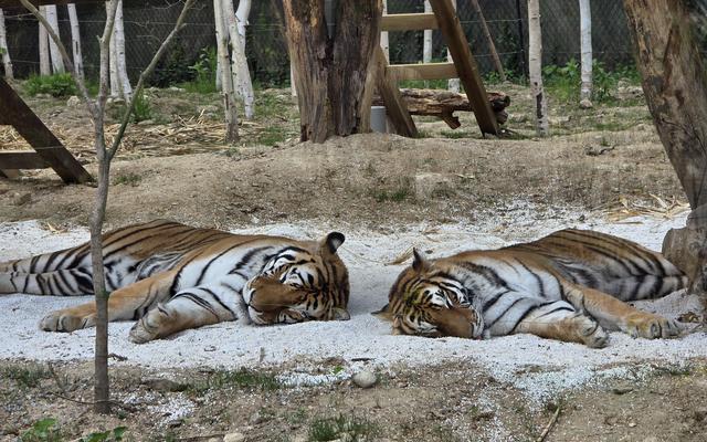 리뷰 대표 이미지