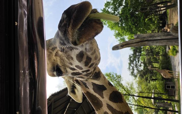 리뷰 대표 이미지