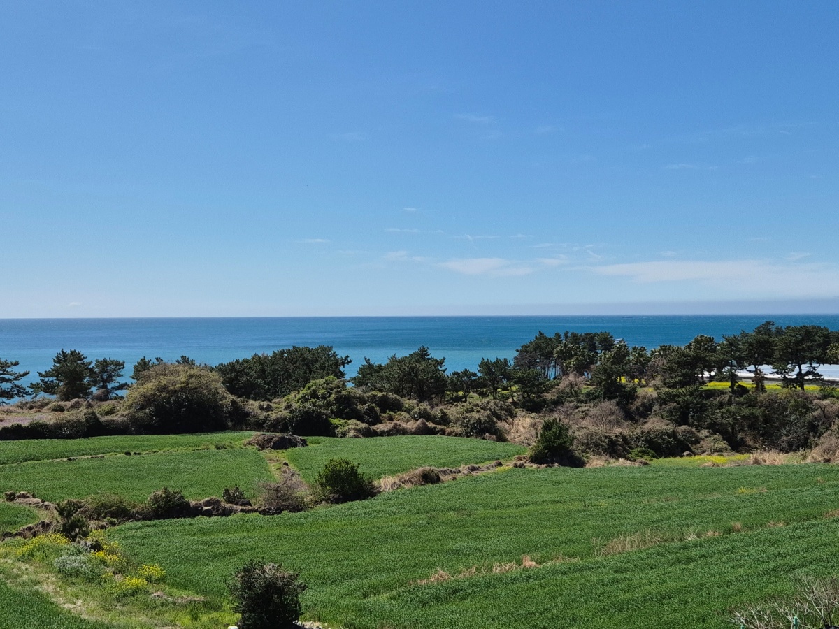 https://yaimg.yanolja.com/v5/2026/04/30/09/69f31ca2c6d7f9.45805097.jpg