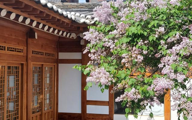 서울 고금당