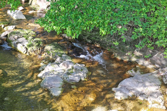 https://yaimg.yanolja.com/v5/2026/05/14/02/6a052d3f03c6a2.20492388.jpg