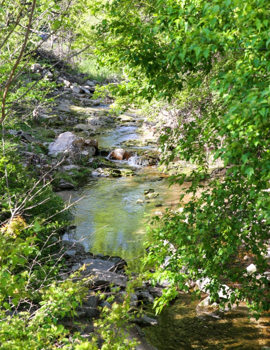 https://yaimg.yanolja.com/v5/2026/05/14/02/6a052d3f04f181.82461512.JPG