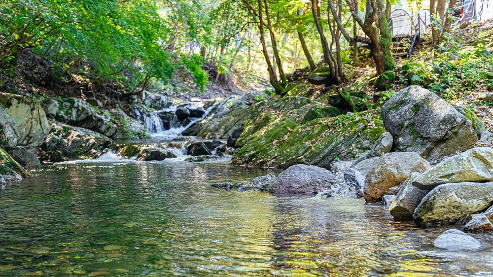 https://yaimg.yanolja.com/v5/2026/05/15/03/6a068f12e45ef7.81592412.jpg