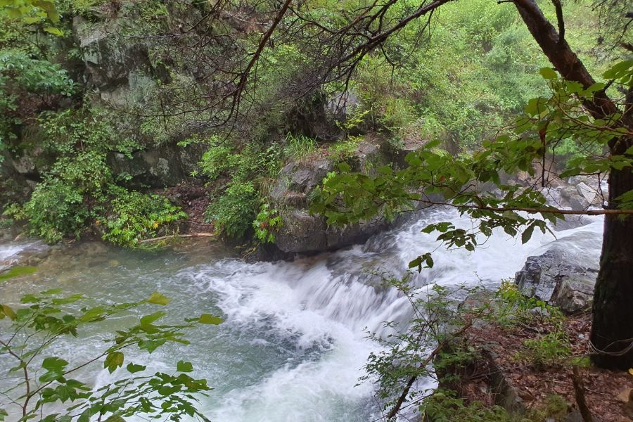 https://yaimg.yanolja.com/v5/2026/05/18/09/6a0adf7dd630a7.90692039.jpg