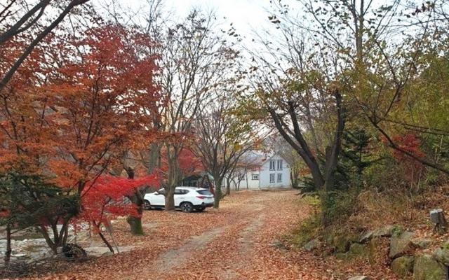 김천 옥당걸 숲속캠핑장