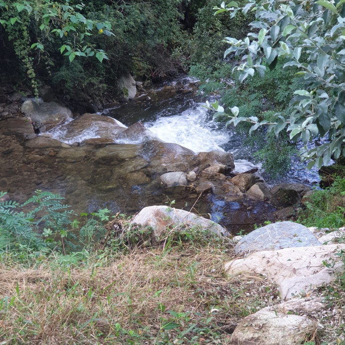 https://yaimg.yanolja.com/v5/2026/05/20/02/6a0d172839e413.91694016.jpg