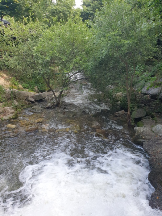 https://yaimg.yanolja.com/v5/2026/05/20/02/6a0d17284735c7.53667645.jpg