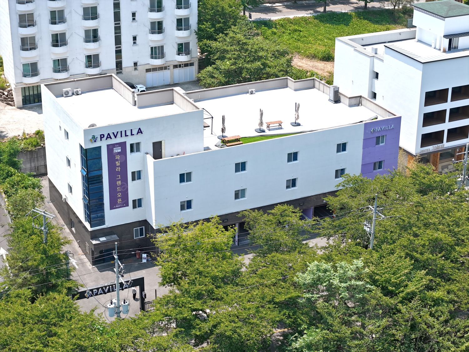 대표 사진