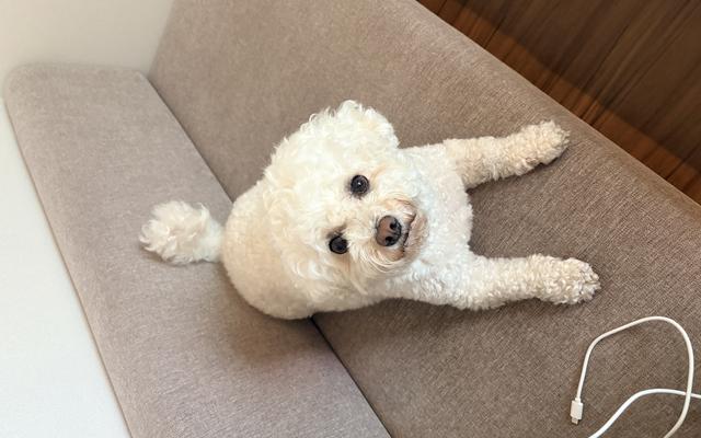 썸네일_1