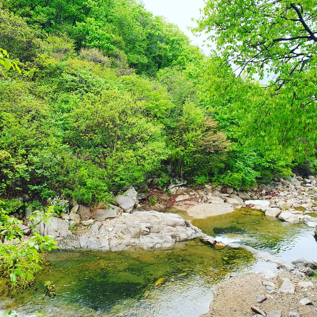 https://yaimg.yanolja.com/v5/2026/05/26/01/6a14fcd896b1f9.66061928.jpg