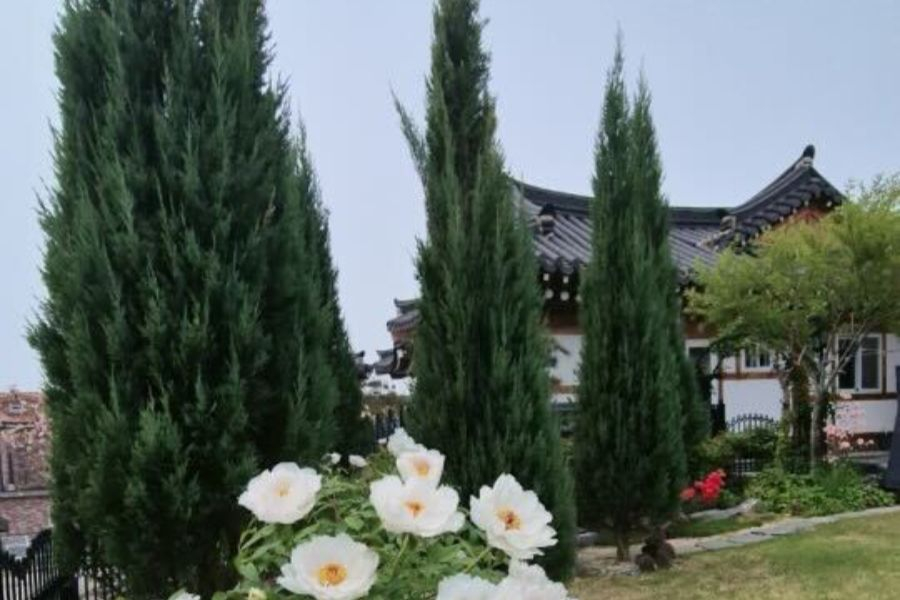 https://yaimg.yanolja.com/v5/2026/05/26/01/6a14fe9d5e26b3.40586721.jpg