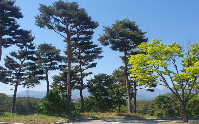 썸네일_2