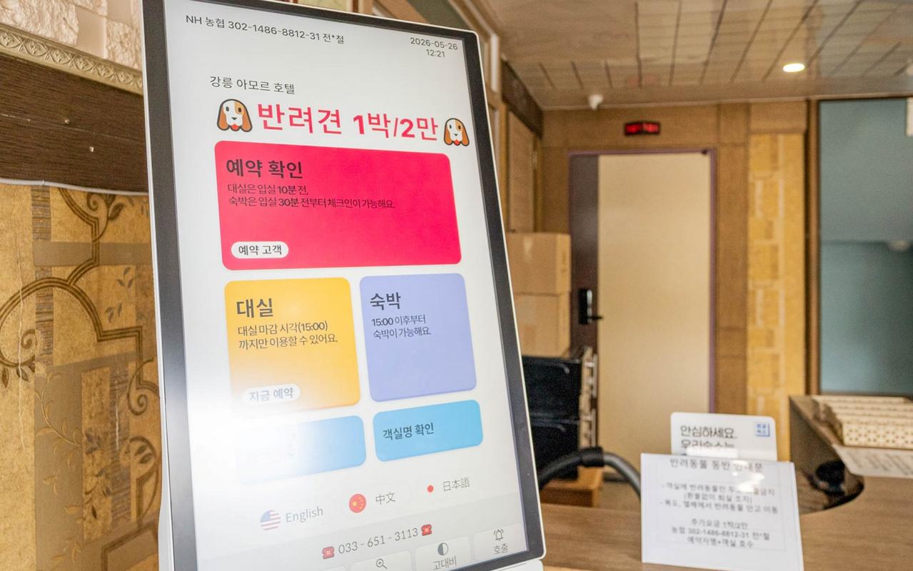 강릉 아모르 사진