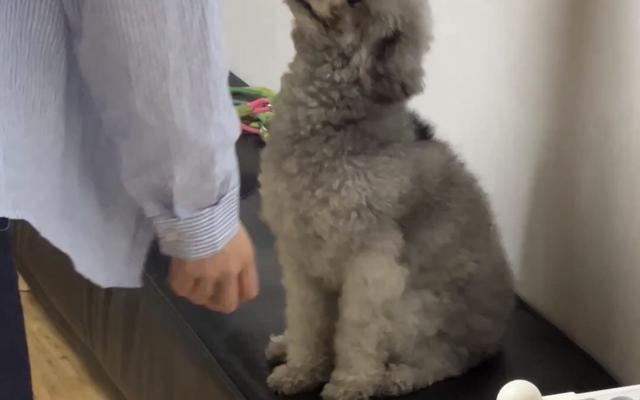 썸네일_6