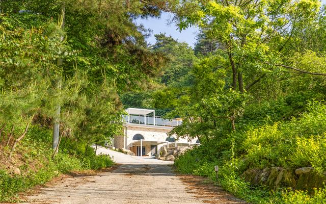 철원 산속속힐링스테이 사진
