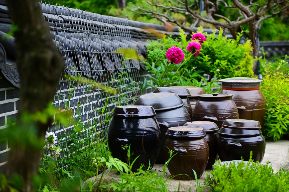 https://yaimg.yanolja.com/v5/2026/06/04/09/6a214c54533219.62903731.jpg