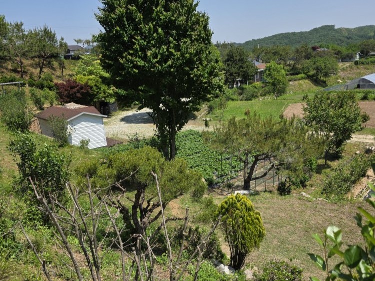 https://yaimg.yanolja.com/v5/2026/06/09/03/6a2781e06d5c26.74995811.jpg