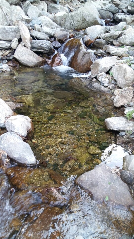 https://yaimg.yanolja.com/v5/2026/06/22/09/6a3904d26cf613.59111890.jpg
