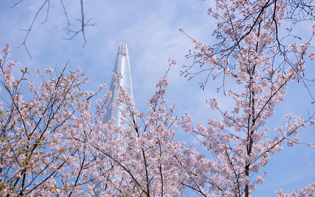 로사나 호텔 사진