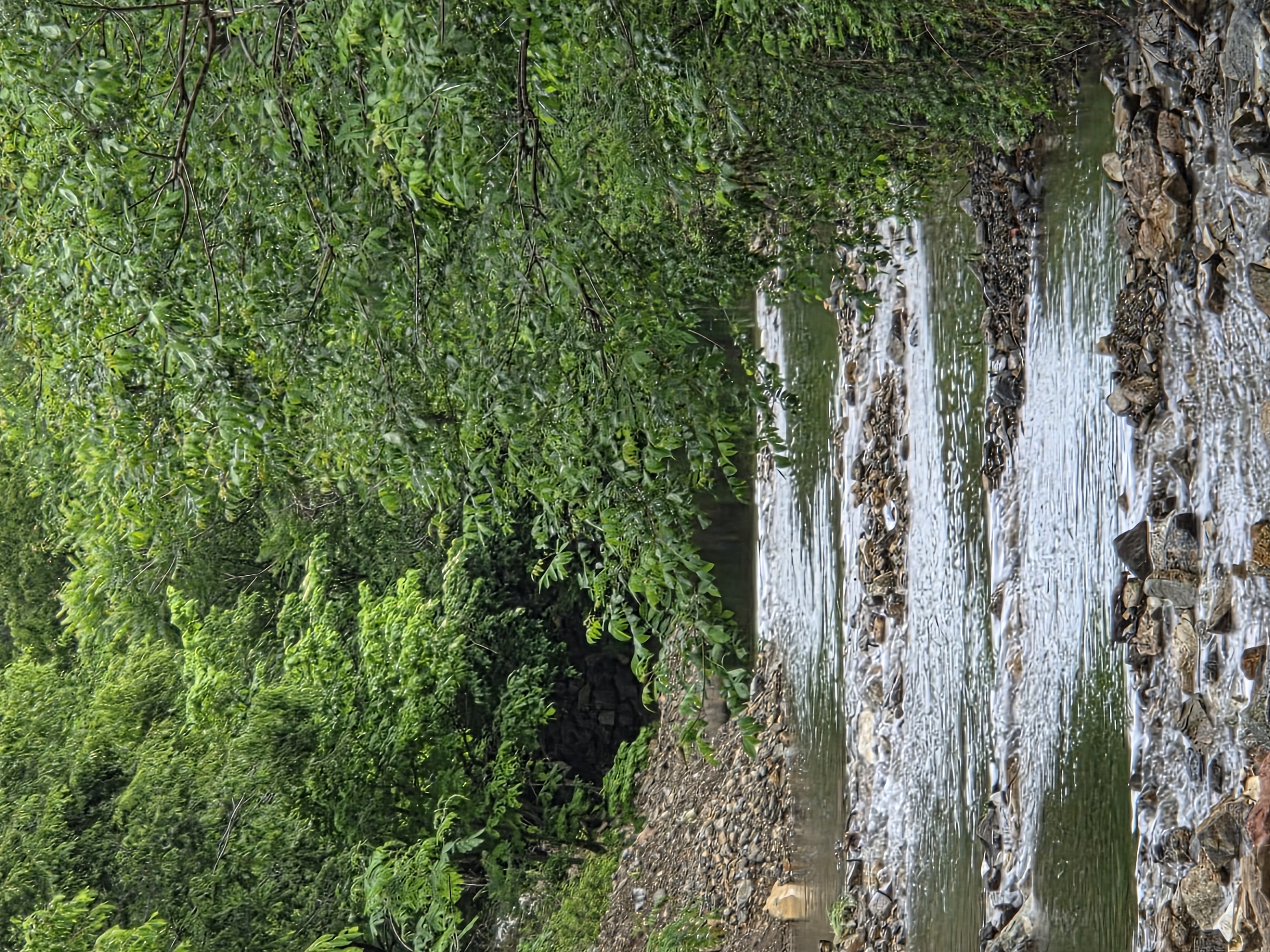 https://yaimg.yanolja.com/v5/2026/06/26/09/6a3e3fa9cfda75.31611288.jpg