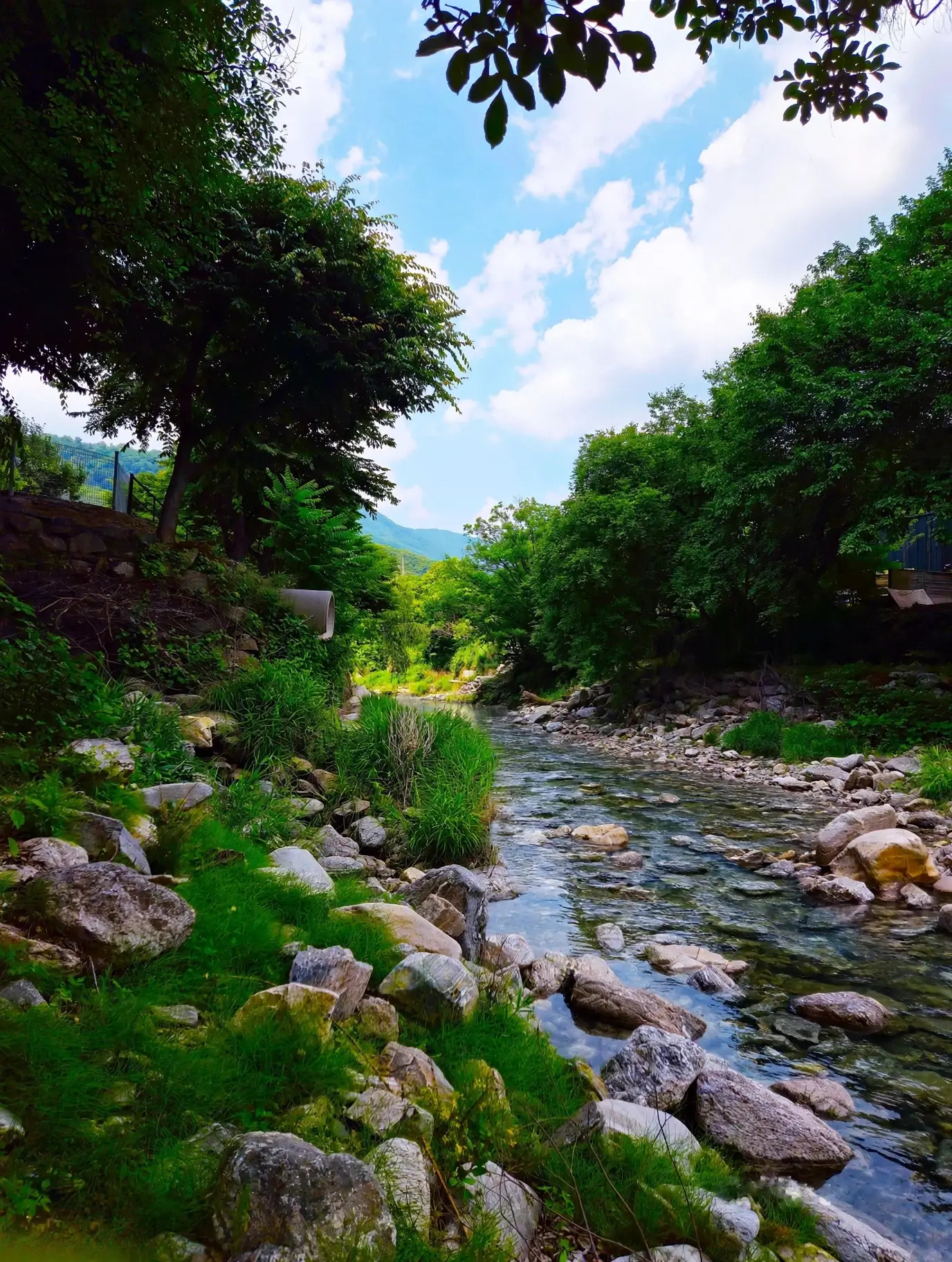 https://yaimg.yanolja.com/v5/2026/07/13/07/6a5499bceded83.16426006.jpg