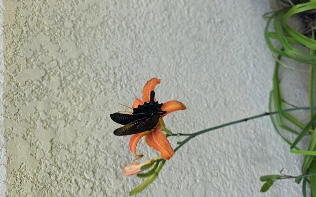 썸네일_1