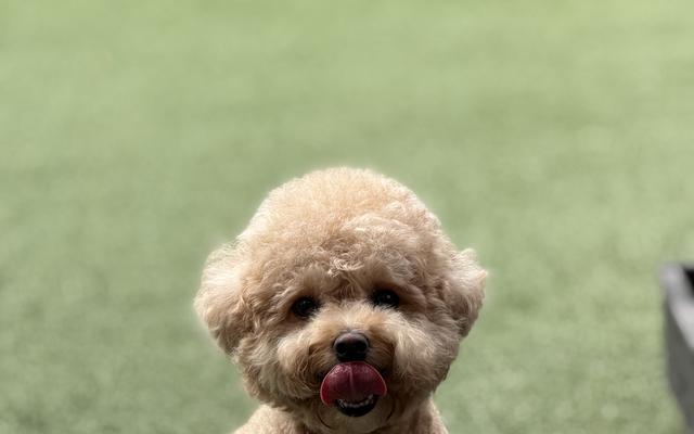 썸네일_2