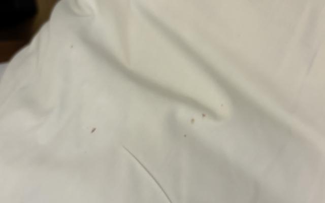 썸네일_2