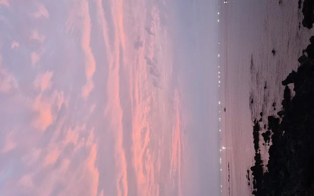 썸네일_1