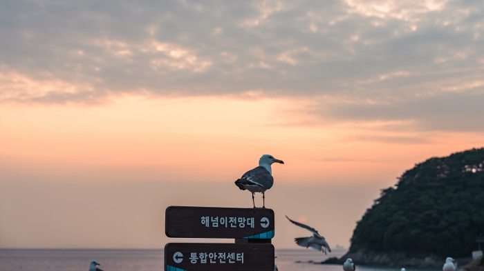 https://yaimg.yanolja.com/v5/2026/07/20/05/6a5db222d7d1d0.17657543.jpg