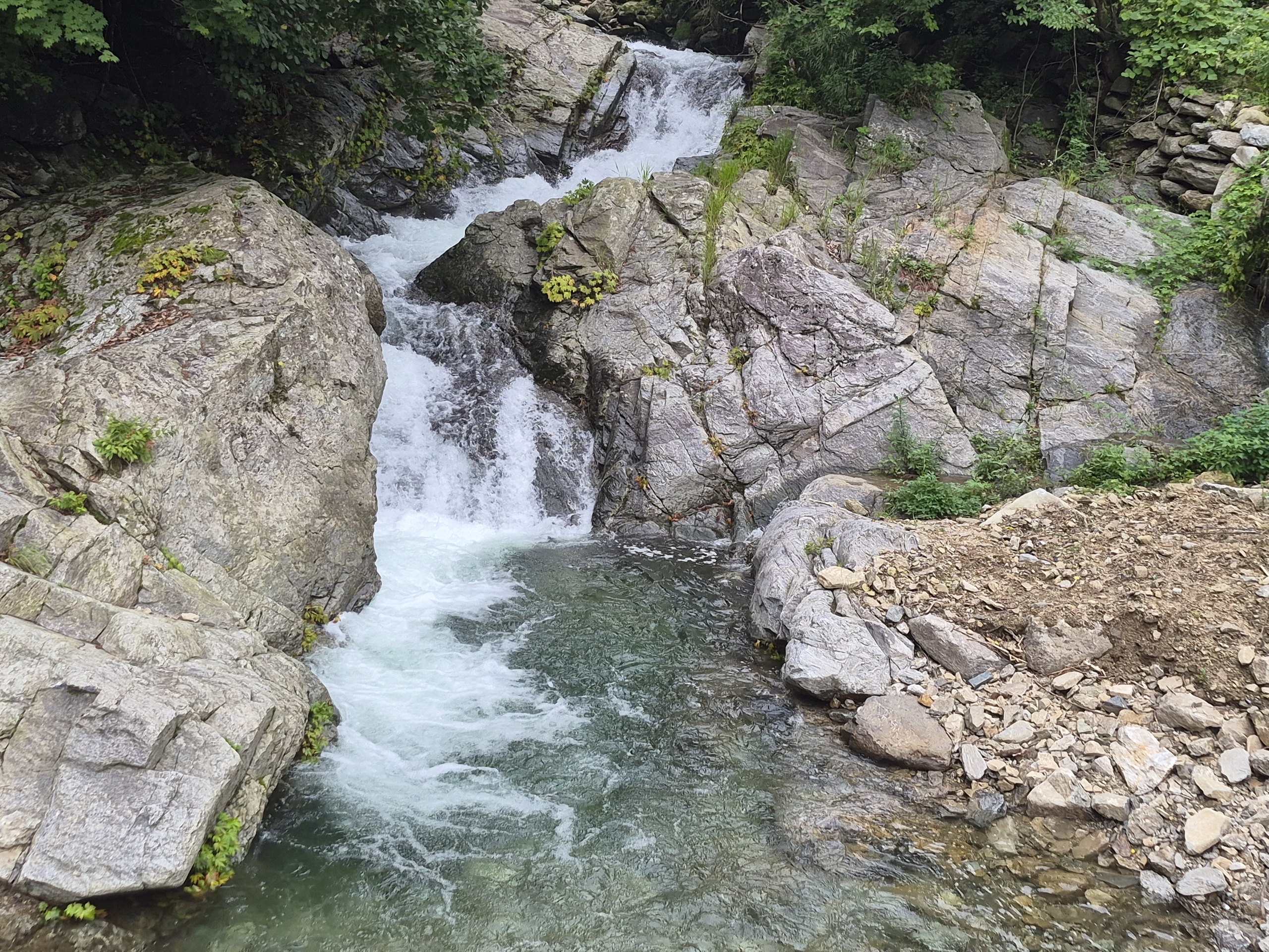 https://yaimg.yanolja.com/v5/2026/07/22/04/6a604bdf5e1e98.18977692.jpg