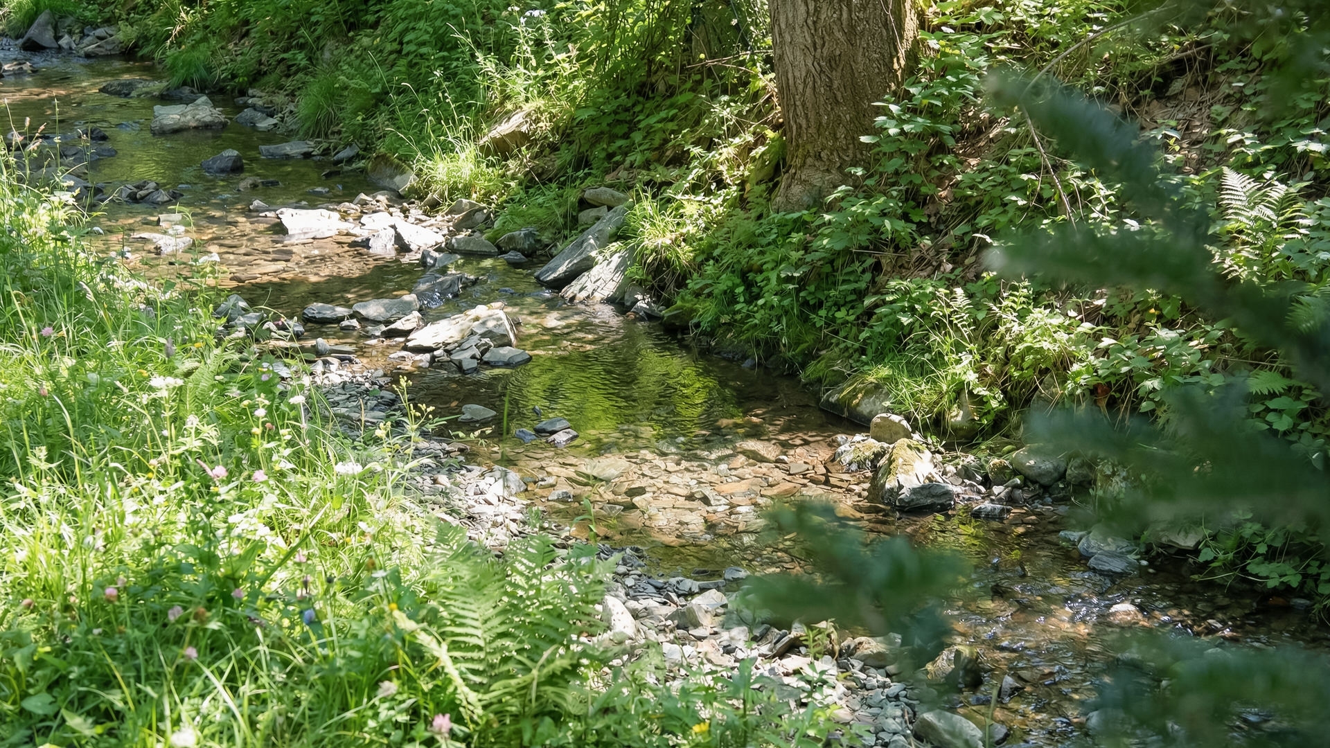 https://yaimg.yanolja.com/v5/2026/07/22/06/6a605e6b2b5462.80366351.jpg
