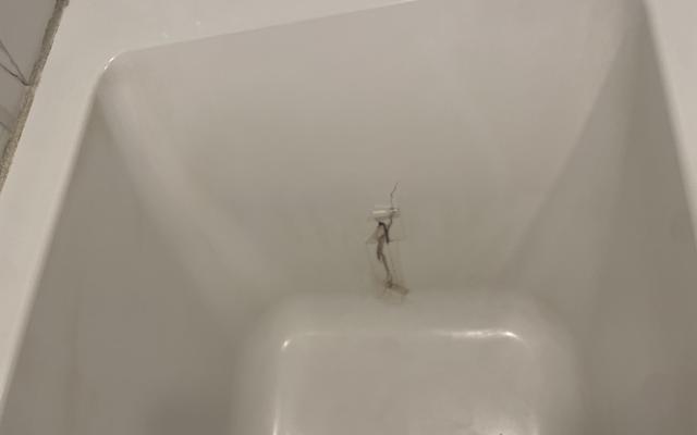썸네일_3