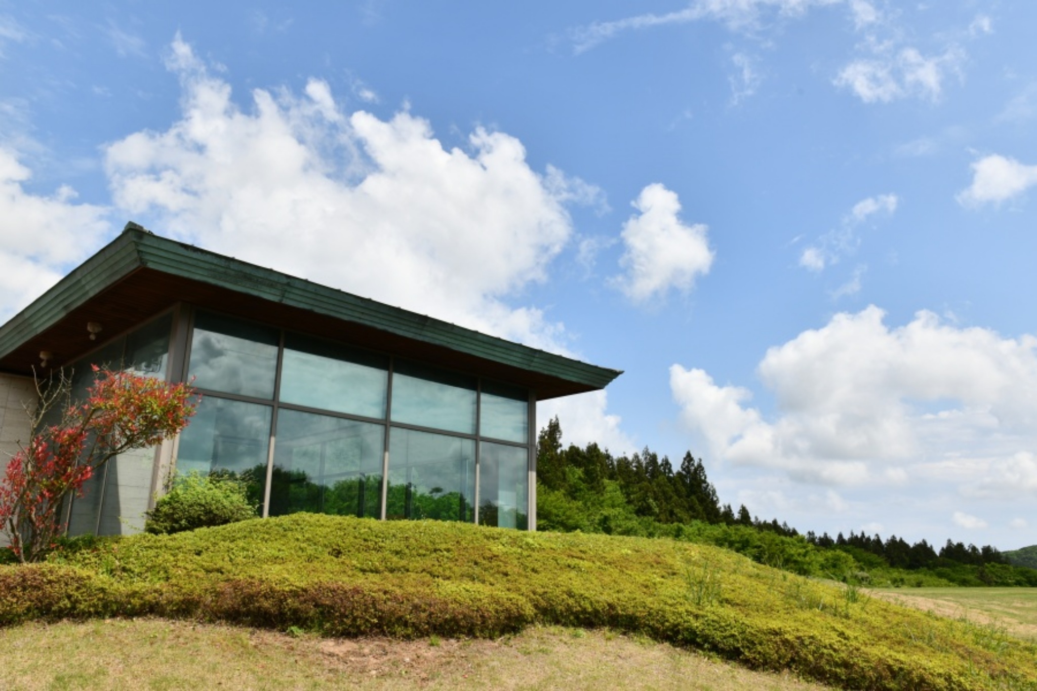 https://yaimg.yanolja.com/v5/2026/07/28/00/6a67f427b5d9e6.58523153.jpg