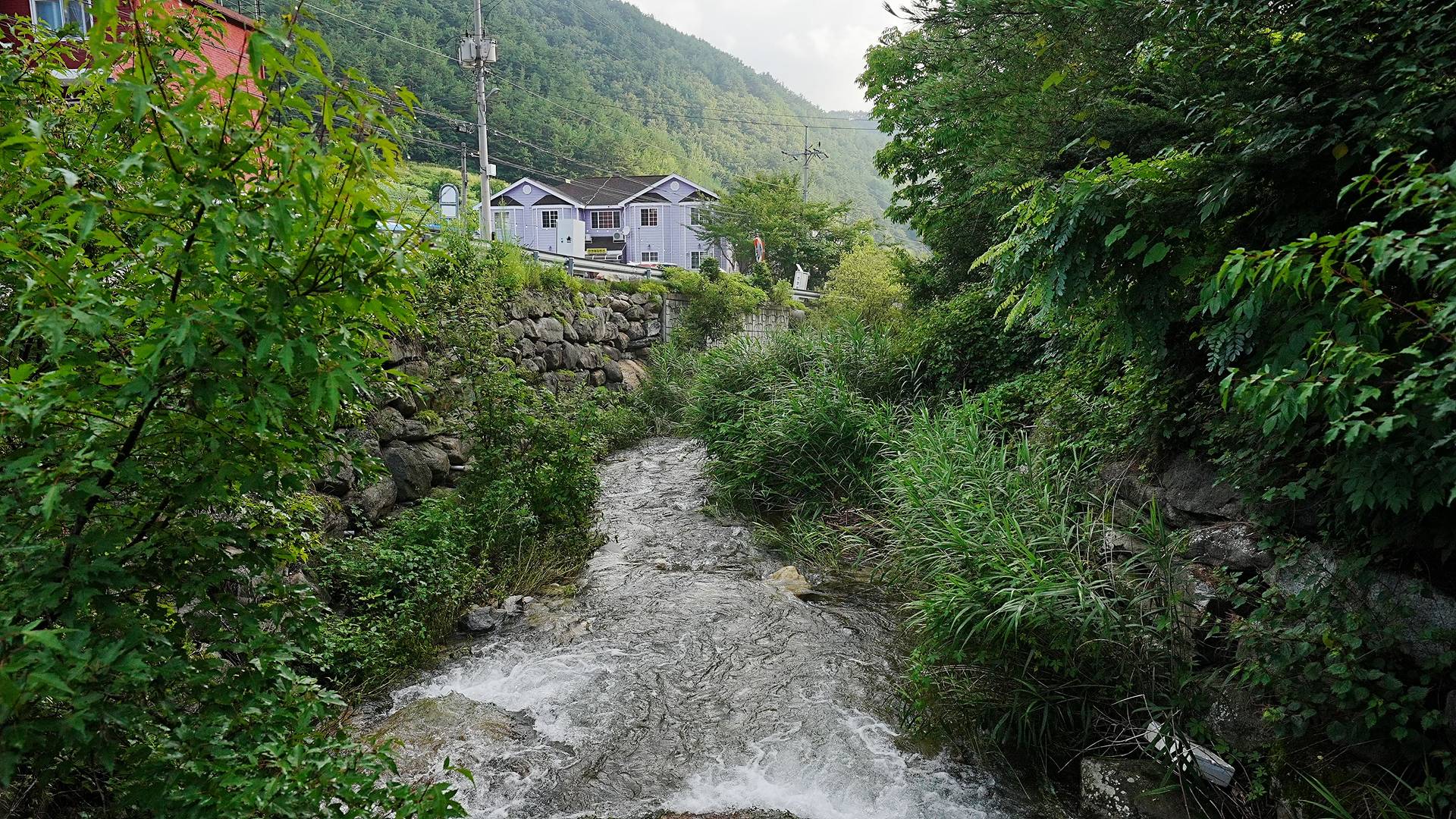 https://yaimg.yanolja.com/v5/2026/07/28/02/6a6818fc263b00.94121074.jpg