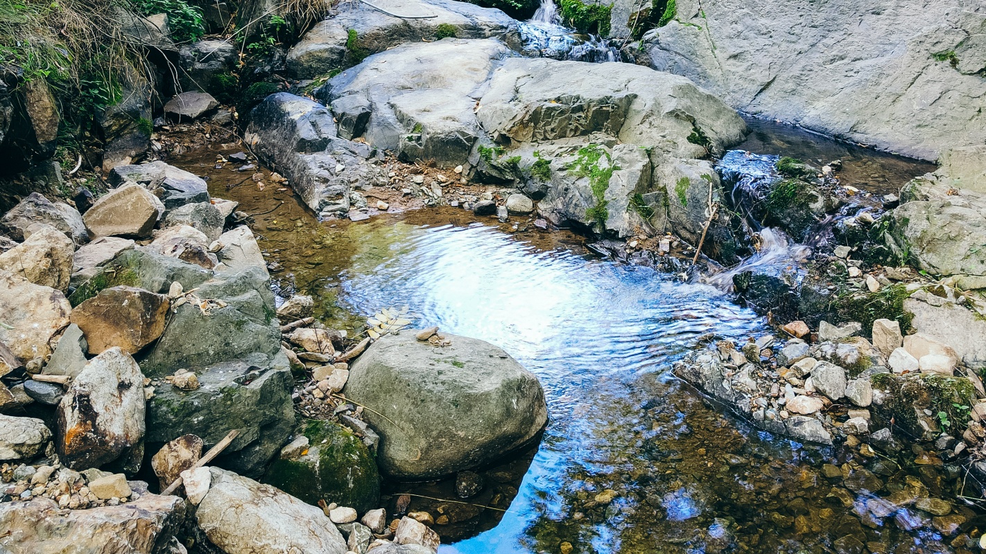 https://yaimg.yanolja.com/v5/2026/07/30/08/6a6b0a8fa8cfa9.42587788.jpg