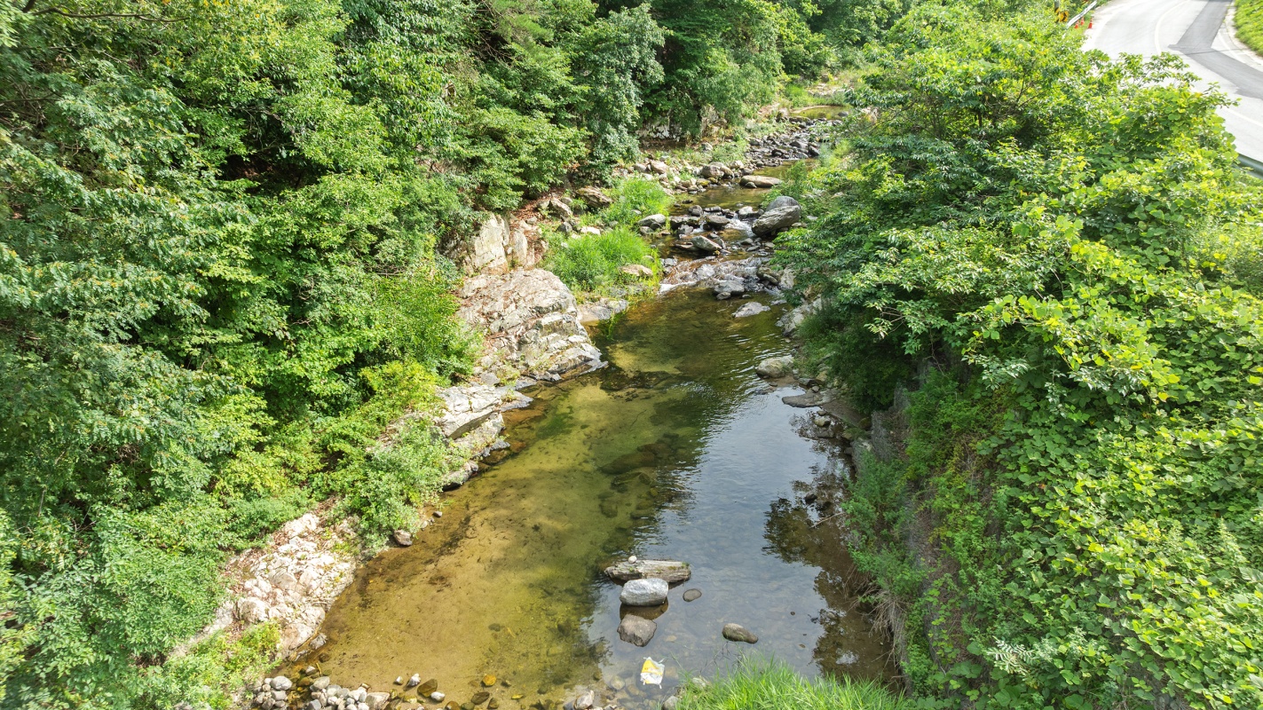 https://yaimg.yanolja.com/v5/2026/07/31/03/6a6c10b1eeb311.47101300.jpg