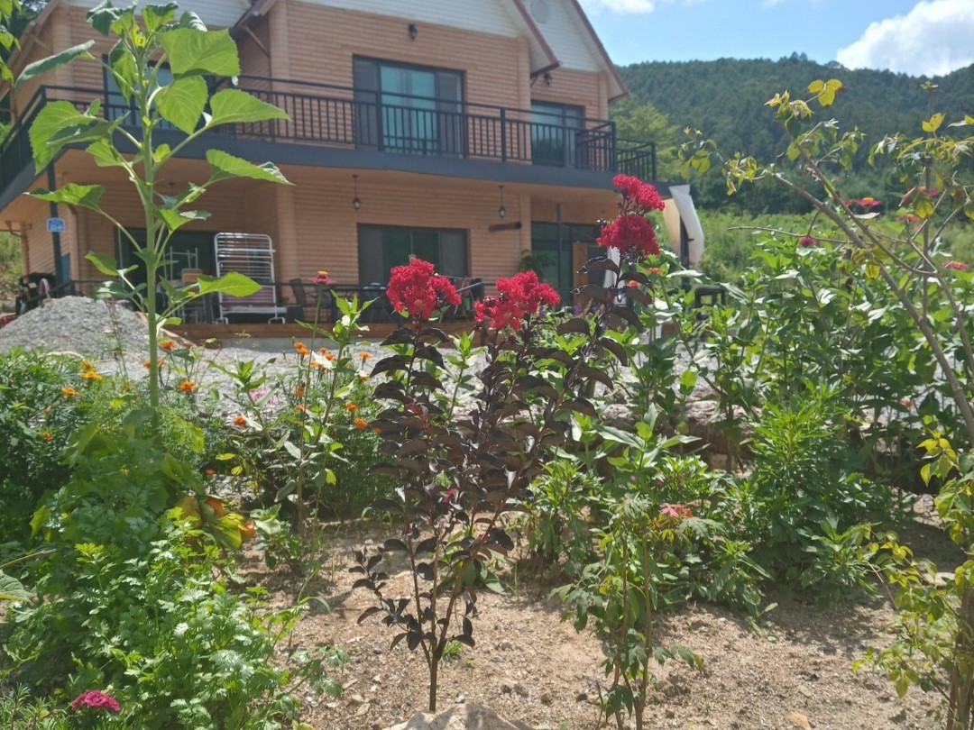 https://yaimg.yanolja.com/v5/2026/08/03/08/6a704e7a6e5f50.77785128.jpg