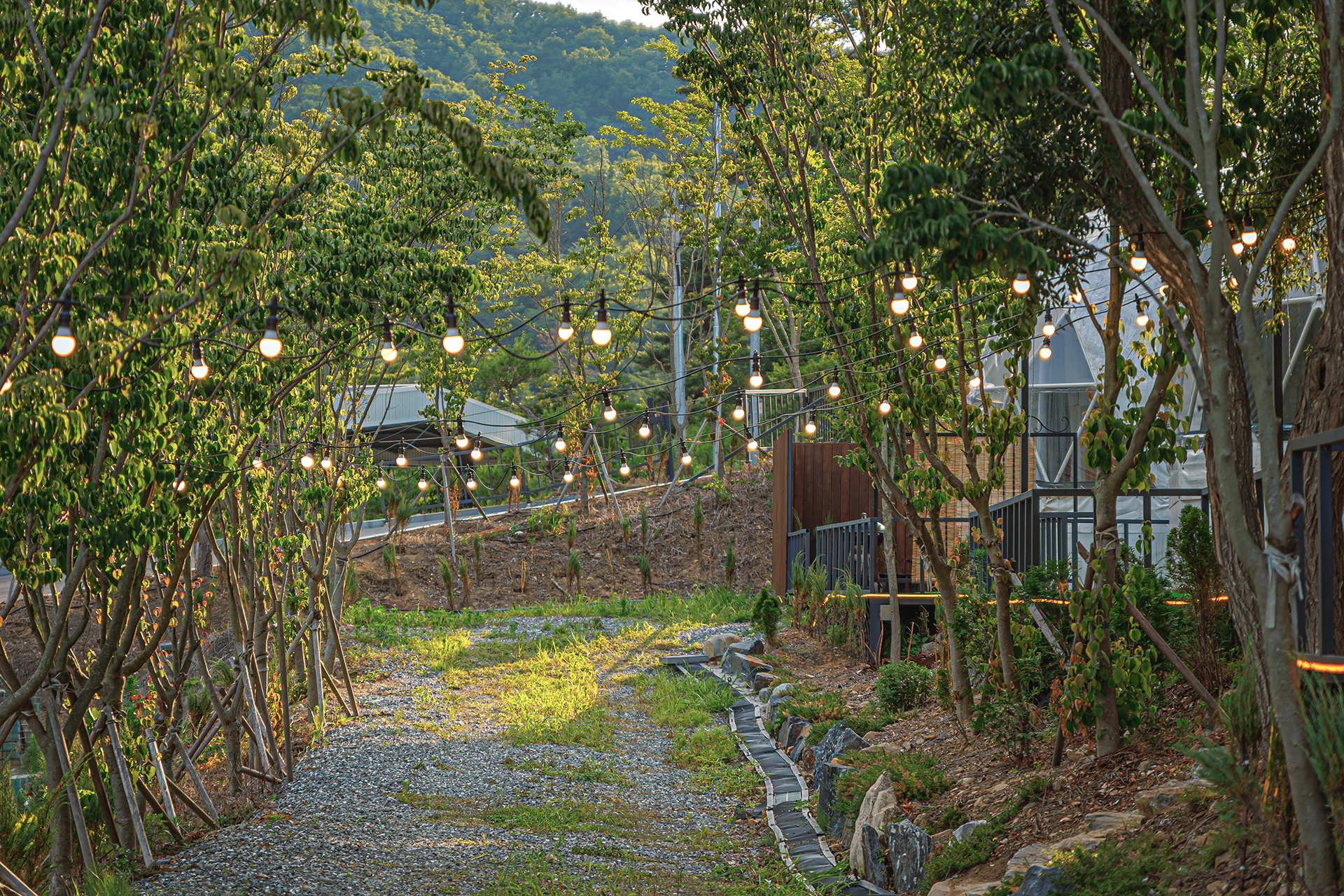 https://yaimg.yanolja.com/v5/2026/08/13/06/6a7d605431dc66.51230772.jpg