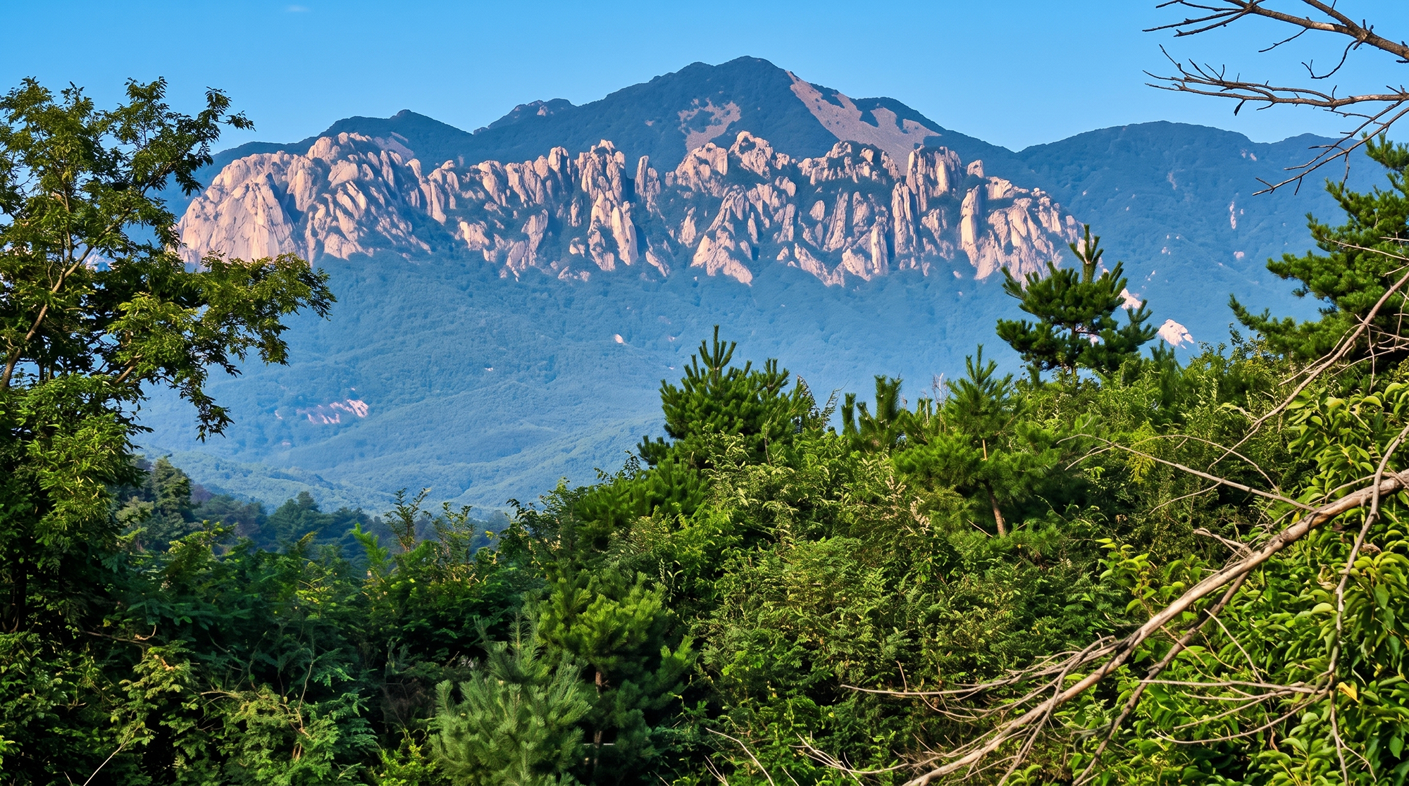 https://yaimg.yanolja.com/v5/2026/08/25/02/6a8d0235686e87.31656187.jpg