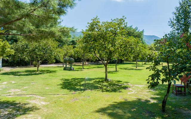 공주 계룡산사계절펜션 사진