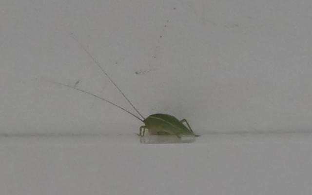 썸네일_1