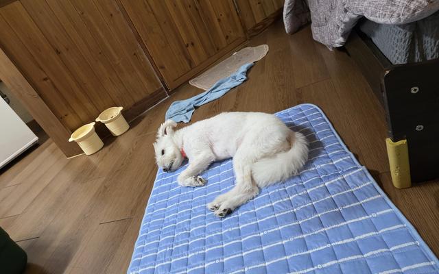 썸네일_2