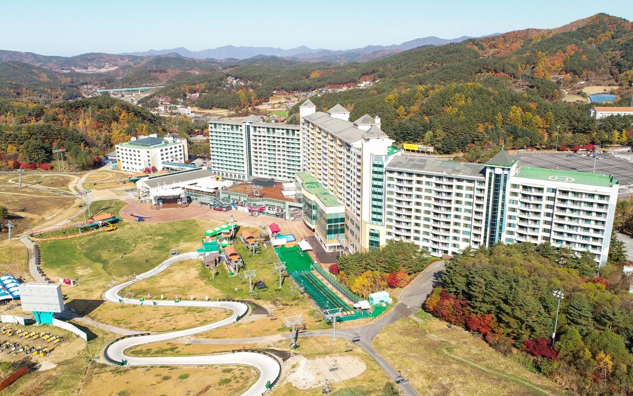 웰리힐리파크 사진