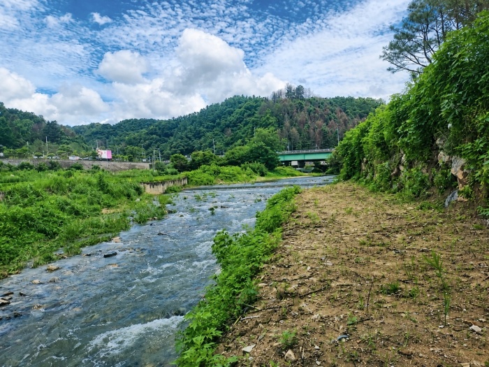 https://yaimg.yanolja.com/v5/2026/09/18/01/6aac910522ea18.54542992.jpg
